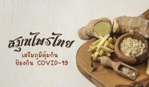 สมุนไพรไทย เสริมภูมิคุ้มกัน ป้องกัน covid-19
