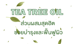 Tea tree oil ส่วนผสมสุดฮิต ช่วยบำรุงและฟื้นฟูผิว